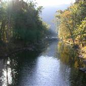 Lost River - McCauley