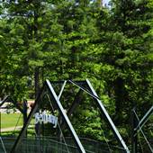 BETHANY COLLEGE - Bethany Bridge