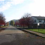 CHESTER - Plutus Avenue