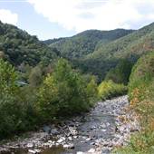 CHERRY GROVE - N. Fork S. Branch Potomac River