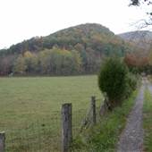 Sweet Springs - Back Creek Road / Cone Creek Road (CR 3/14)