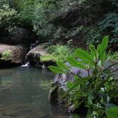 HOLLY RIVER STATE PARK - Shupes Chute
