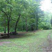 KANAWHA STATE FOREST - Davis Creek Trail (near Rattlesnake Run)