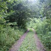 KANAWHA STATE FOREST - Polly Hollow Area