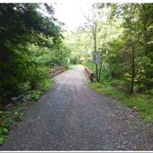 Glade Creek Pony Bridge