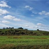 Gladesville-landscapes