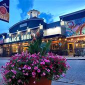 Black Sheep Burrito and Brews