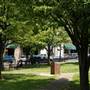 Hinton City Park
