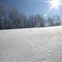 Timberline