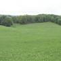 Nipple Hill Farm