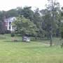 Elmwood