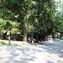 OGLEBAY RESORT & CONFERENCE CENTER - Cottage Area A