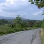 Turkey Creek Road (13/3) - WILLOW BEND