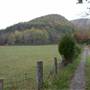 Sweet Springs - Back Creek Road / Cone Creek Road (CR 3/14)