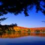 Plum Orchard Lake Wildlife Management Area