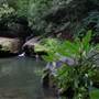 HOLLY RIVER STATE PARK - Shupes Chute