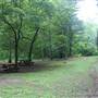 KANAWHA STATE FOREST - Davis Creek Trail (near Rattlesnake Run)