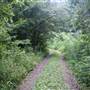 KANAWHA STATE FOREST - Polly Hollow Area