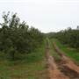 Jefferson Orchards