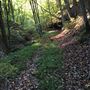 Mirkwood