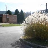 Hamlin Community Center