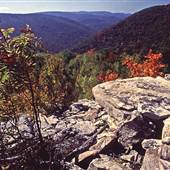 DOLLY SODS - Wilderness Area