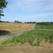 MEYERSTOWN - Dutch Lane & Andrews Farm Road