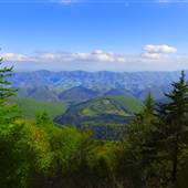 SPRUCE KNOB - Various