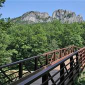 SENECA ROCKS - Seneca Rocks Trail Bridge (North Fork, South Branch Potomac River)