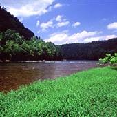 Bluestone Wildlife Management Area