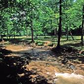 Laurel Lake Wildlife Management Area