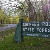 Cooper's Rock State Forest