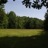 Greenbrier State Forest-summer