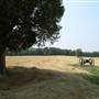 Murphy Farm