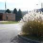 Hamlin Community Center