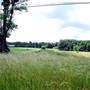 MOUNT NEBO - WV Rte 41