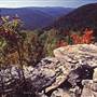 DOLLY SODS - Wilderness Area