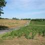 MEYERSTOWN - Dutch Lane & Andrews Farm Road