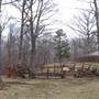 CAMP WASHINGTON CARVER - Campfire Round