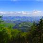 SPRUCE KNOB - Various