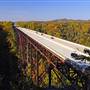 NEW RIVER GORGE BRIDGE (US 19), Overlook (Pet Walk)
