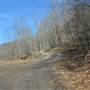 GILLOOLY - Wolfpen Run Road (CR 22/4)