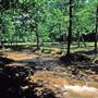 Laurel Lake Wildlife Management Area