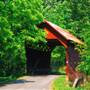 Laurel Creek Covered Bridge
