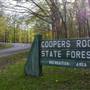 Cooper's Rock State Forest