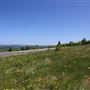 Spruce Knob