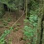 Beartown State Park