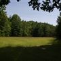 Greenbrier State Forest-summer