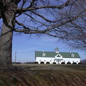 Swift Levels Horse Farm