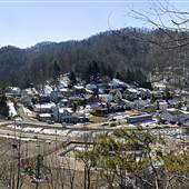 PINEVILLE - Overviews